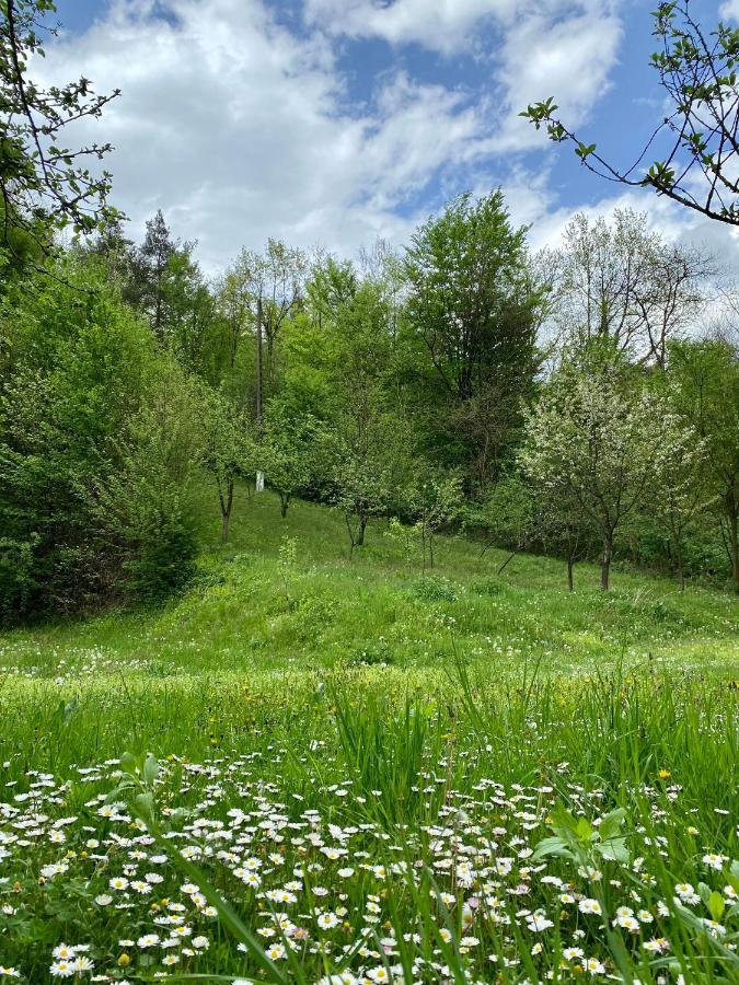 مبيت وإفطار ريشيتسا House In The Woods المظهر الخارجي الصورة