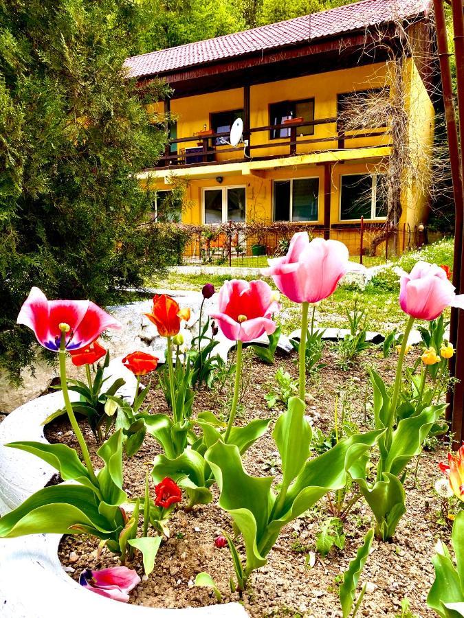 مبيت وإفطار ريشيتسا House In The Woods المظهر الخارجي الصورة
