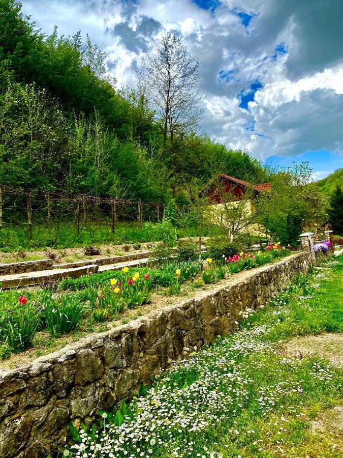 مبيت وإفطار ريشيتسا House In The Woods المظهر الخارجي الصورة