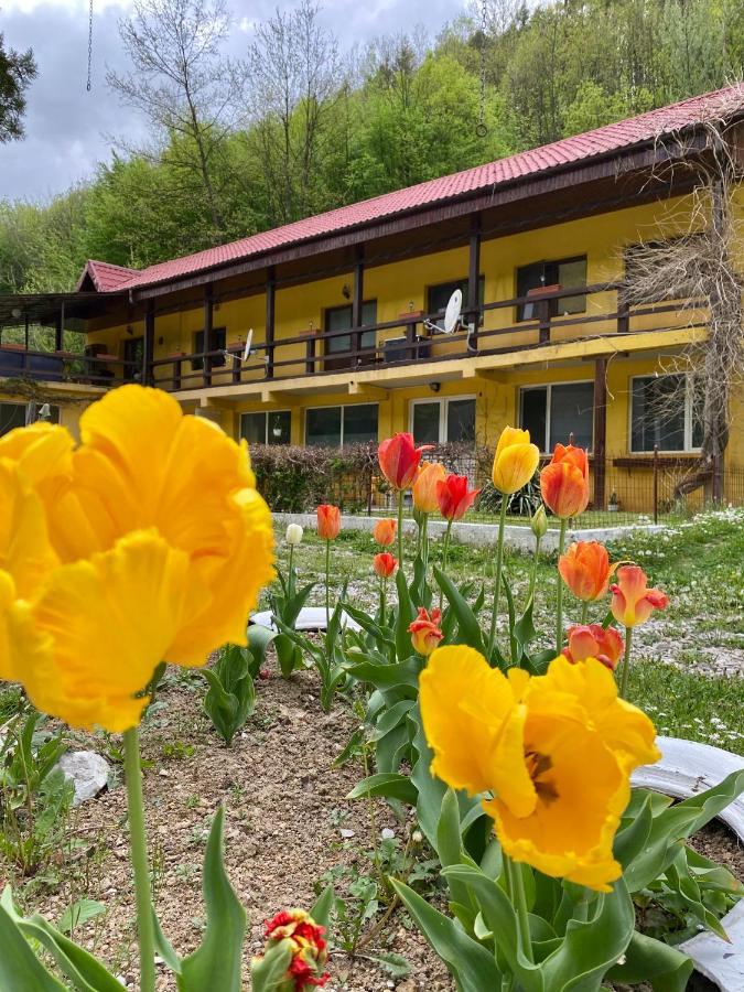 مبيت وإفطار ريشيتسا House In The Woods المظهر الخارجي الصورة