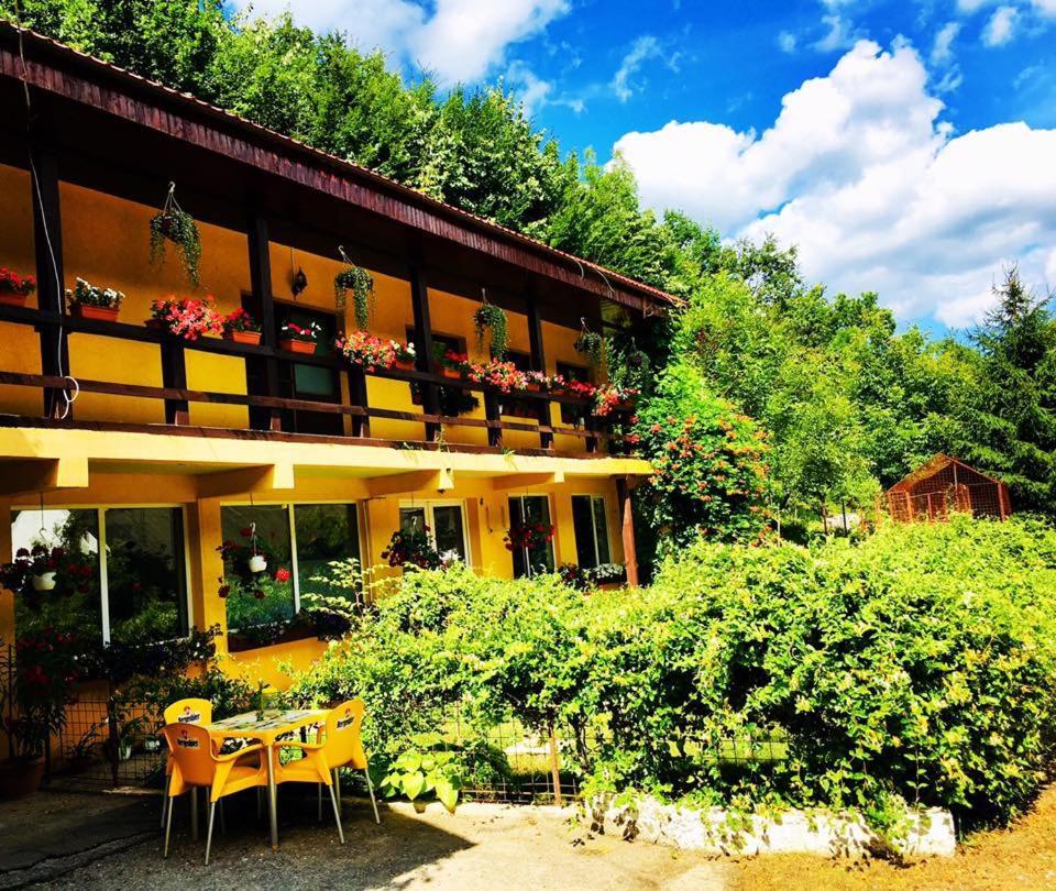 مبيت وإفطار ريشيتسا House In The Woods المظهر الخارجي الصورة