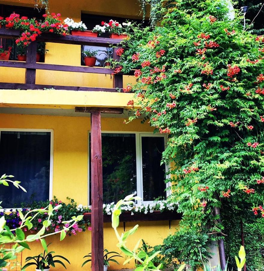مبيت وإفطار ريشيتسا House In The Woods المظهر الخارجي الصورة