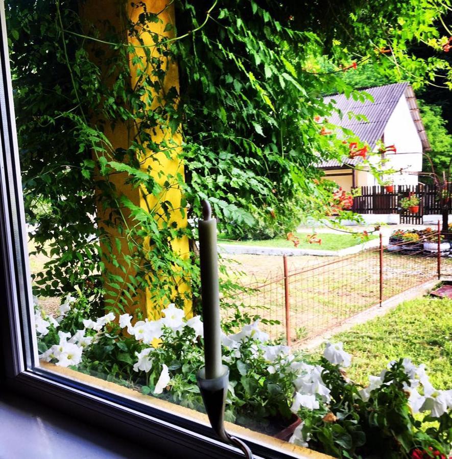 مبيت وإفطار ريشيتسا House In The Woods المظهر الخارجي الصورة