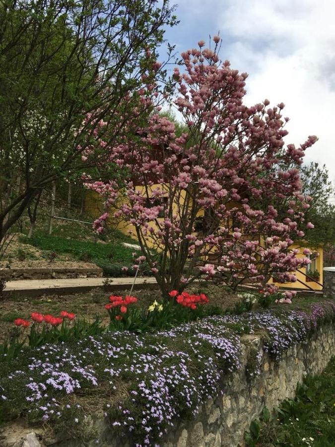 مبيت وإفطار ريشيتسا House In The Woods المظهر الخارجي الصورة