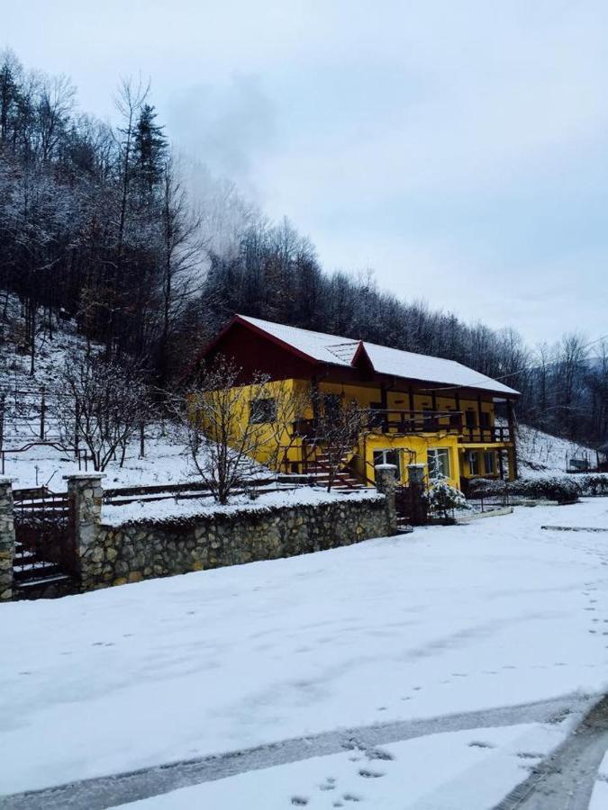 مبيت وإفطار ريشيتسا House In The Woods المظهر الخارجي الصورة