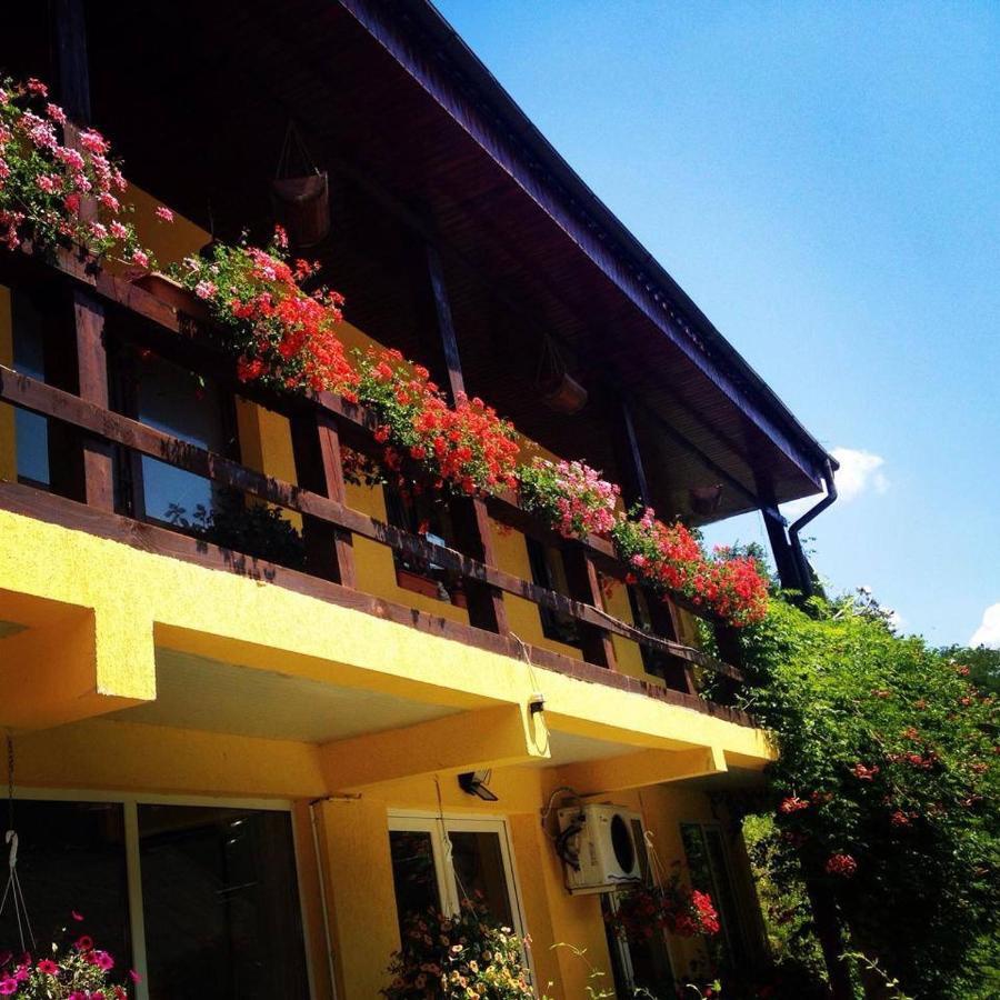 مبيت وإفطار ريشيتسا House In The Woods المظهر الخارجي الصورة