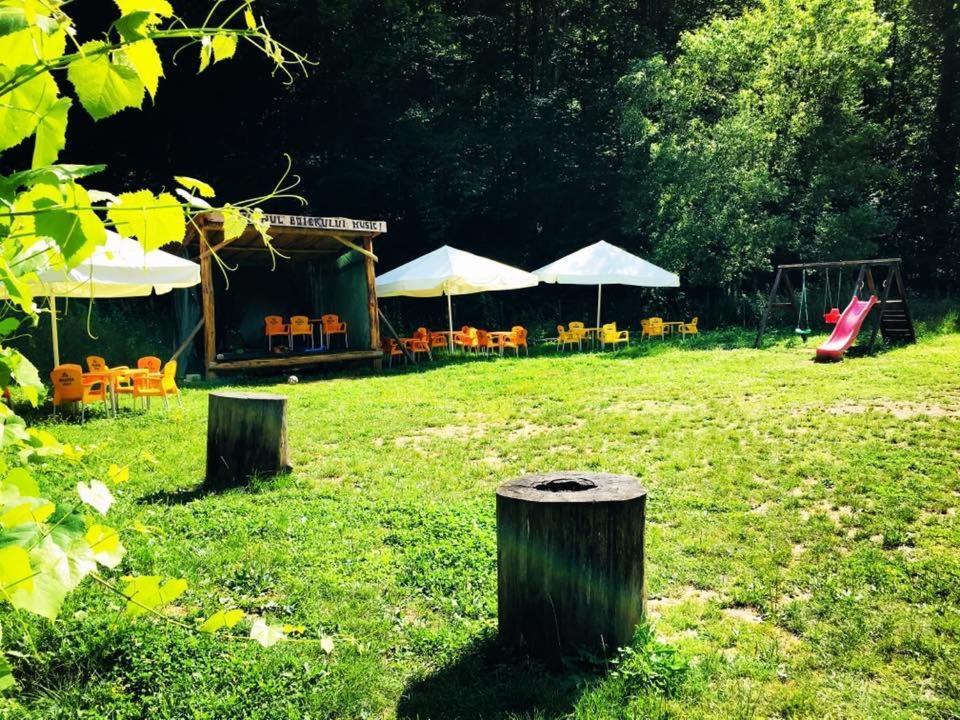 مبيت وإفطار ريشيتسا House In The Woods المظهر الخارجي الصورة