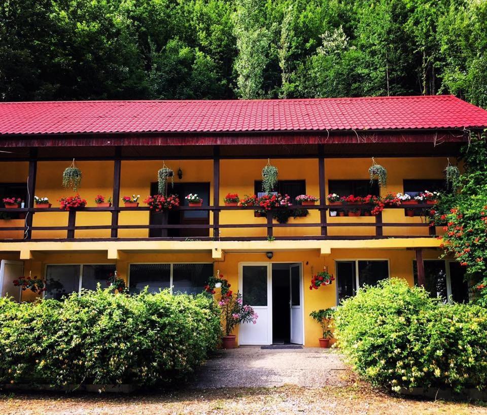 مبيت وإفطار ريشيتسا House In The Woods المظهر الخارجي الصورة
